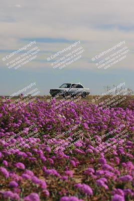 media/Jan-08-2023-SCCA SD (Sun) [[8f6a5b9391]]/Intermediate Group/Session 2 (Short Straight)/